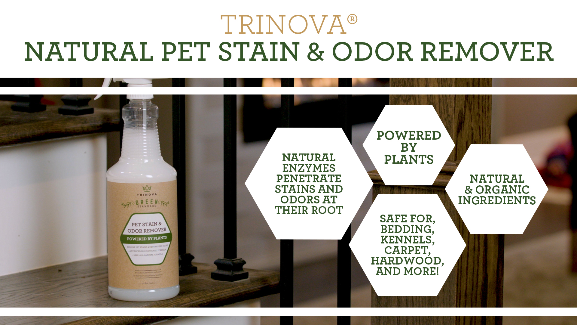 Does the TriNova Pet Stain Remover work on areas where other cleaners